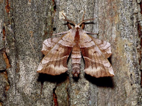 Circuit breaker monitoring dashboard