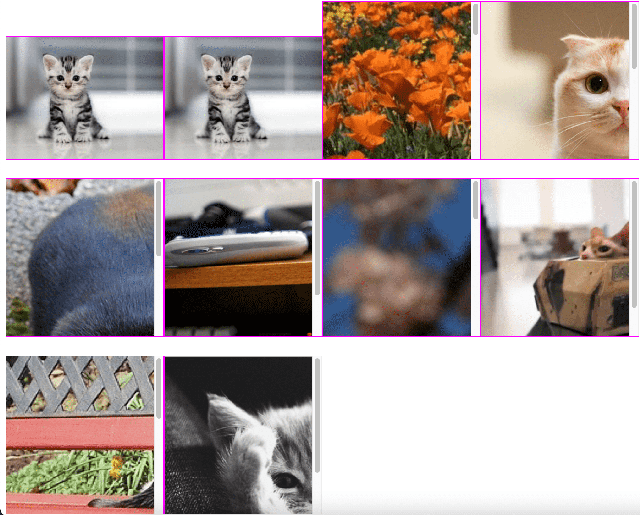 nodejs-javascript-dom-cat-gallery-view-output1