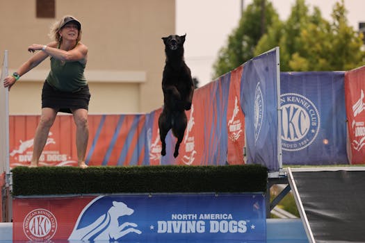 Comparison chart showing debounce waiting for quiet period vs throttle executing at regular intervals