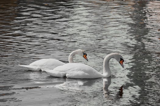 State synchronization patterns