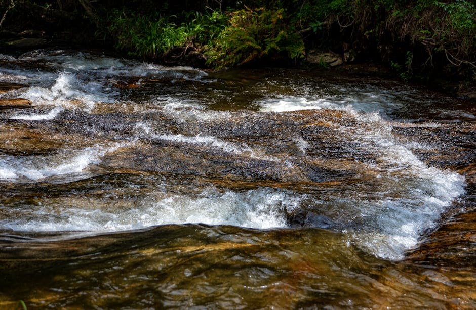 A vibrant stream with clear water flowing over rocks surrounded by greenery - Photo by Magda Ehlers on Pexels