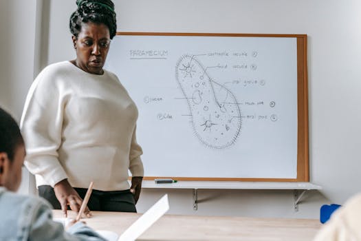 Bundle analysis comparison between Webpack and Vite production builds